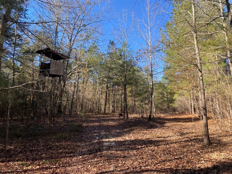 More Photos Of 1021 Ready Pond Rd, Batesburg-Leesville Land For Sale