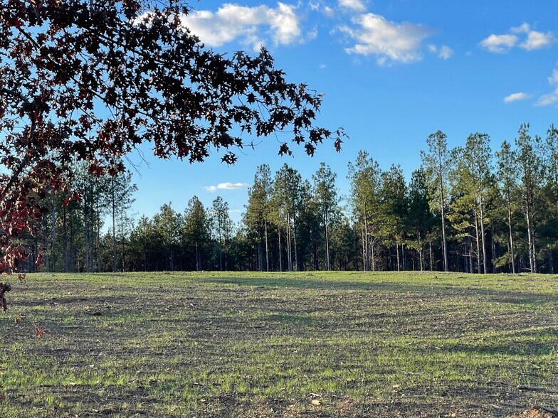 More Photos Of 92 Lillian Strong rd, Carlton Land For Sale