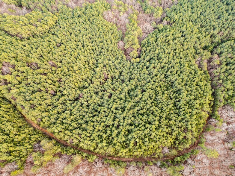 More Photos Of 762 Smith Mountain Rd, Dunlap Land For Sale