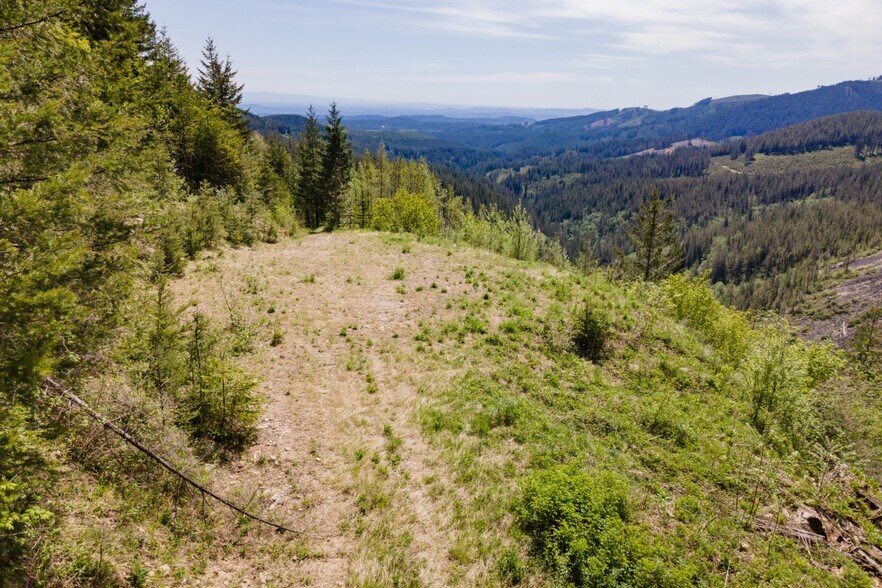 More Photos Of 0 Snag Mountain Road, Washougal Land For Sale