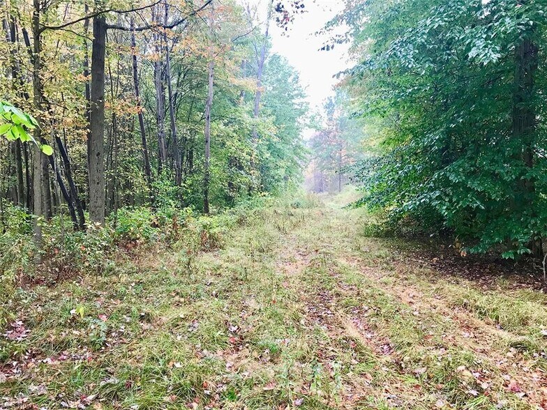 More Photos Of Bryant & SR 82 rd, Garrettsville Land For Sale