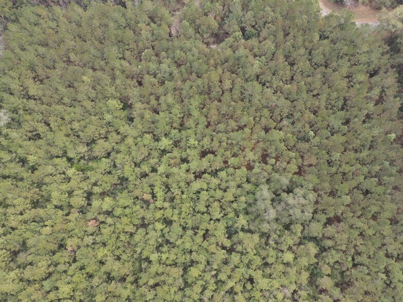 More Photos Of 0 Baldwin St, Satsuma Land For Sale