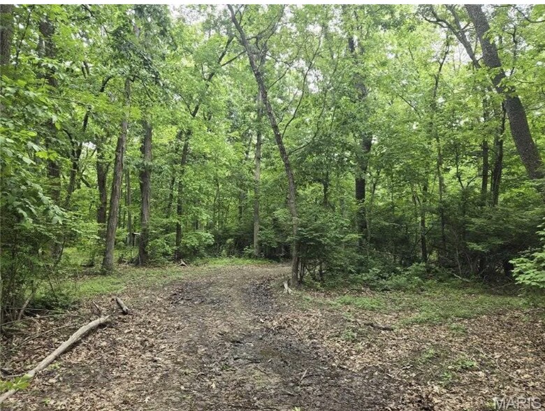 More Photos Of 6959 W Fellin Drive, Mount, Mount Olive Land For Sale