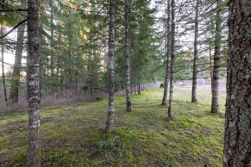 More Photos Of Loop Road, Stevenson Land For Sale
