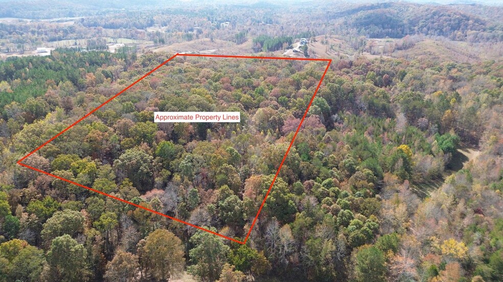 Primary Photo Of 00 Keith Salem Rd, Ringgold Land For Sale