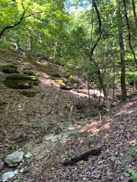 More Photos Of 190 Edgewater Dr, Eureka Springs Land For Sale