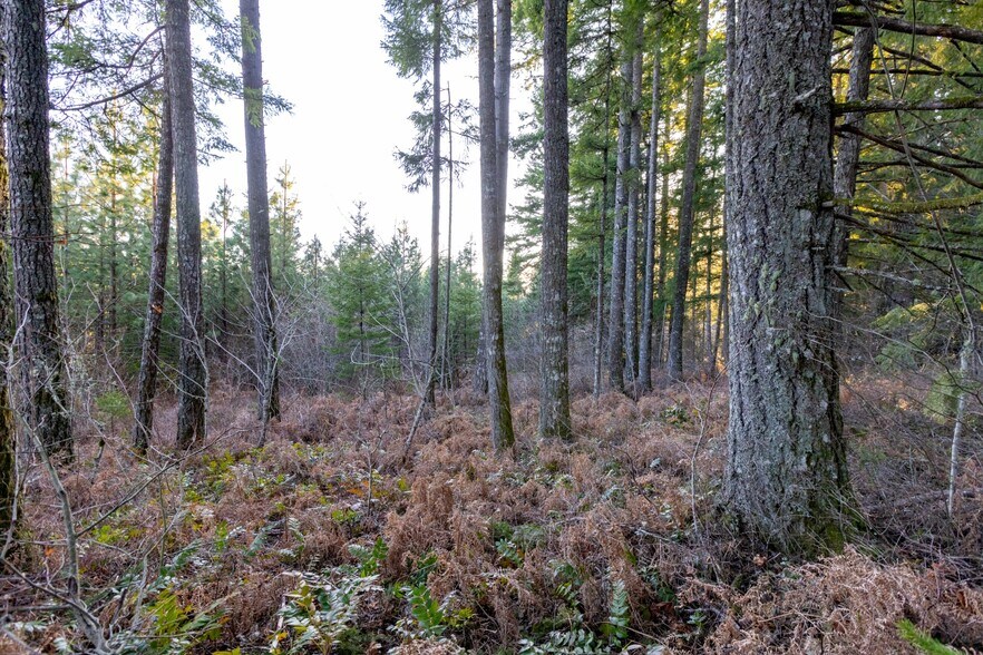 More Photos Of Loop Road, Stevenson Land For Sale