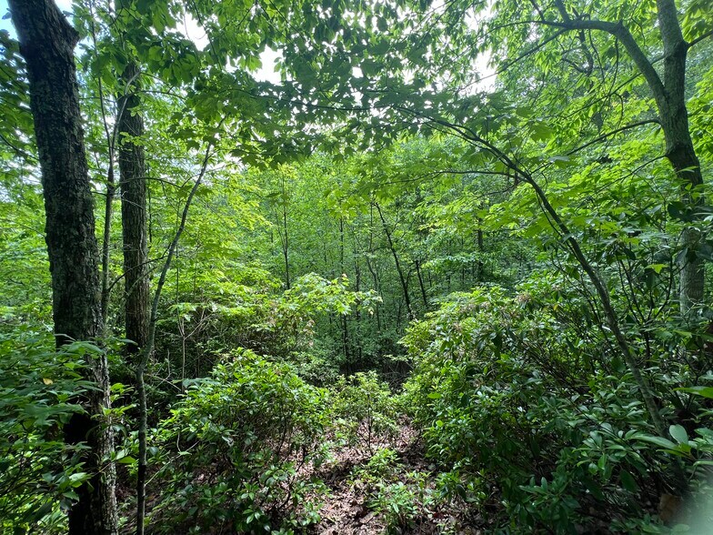 More Photos Of 395 Able rd, Waleska Land For Sale