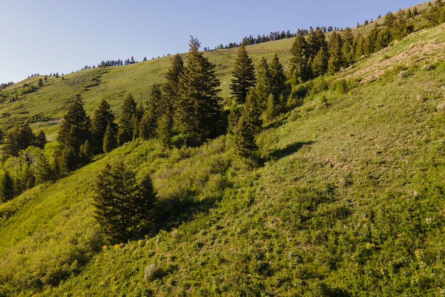 More Photos Of 3 Trail Creek Rd, Bozeman Land For Sale