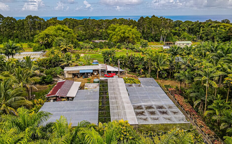 More Photos Of 27-2760 Hawaii Belt Rd, Pepeekeo Land For Sale