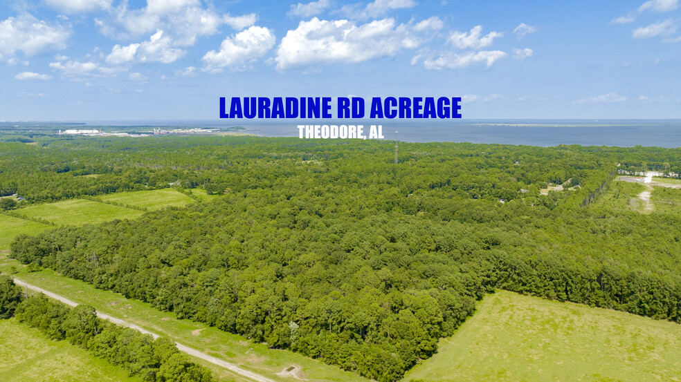 Primary Photo Of 0 Laurendine Road, Theodore Land For Sale