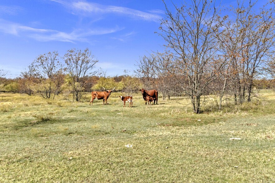 More Photos Of 81ac Shearer Road, Pilot Point Land For Sale