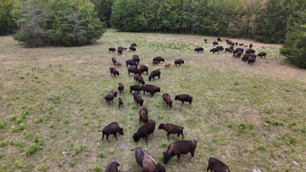 More Photos Of 6040 AL-28, Pine Apple Lodge Meeting Hall For Sale