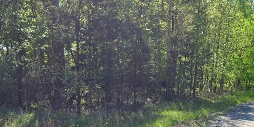 Primary Photo Of , Indian Land Land For Sale