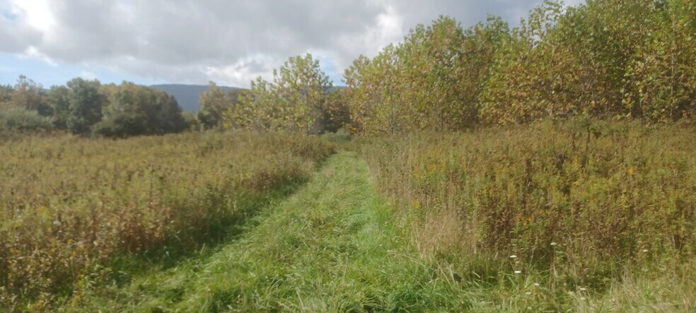 More Photos Of 291 Edray Business Park, Marlinton Warehouse For Sale