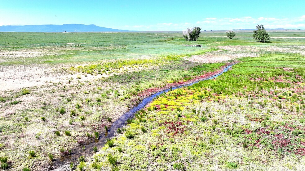 More Photos Of 48999 County Road 48, Model Land For Sale