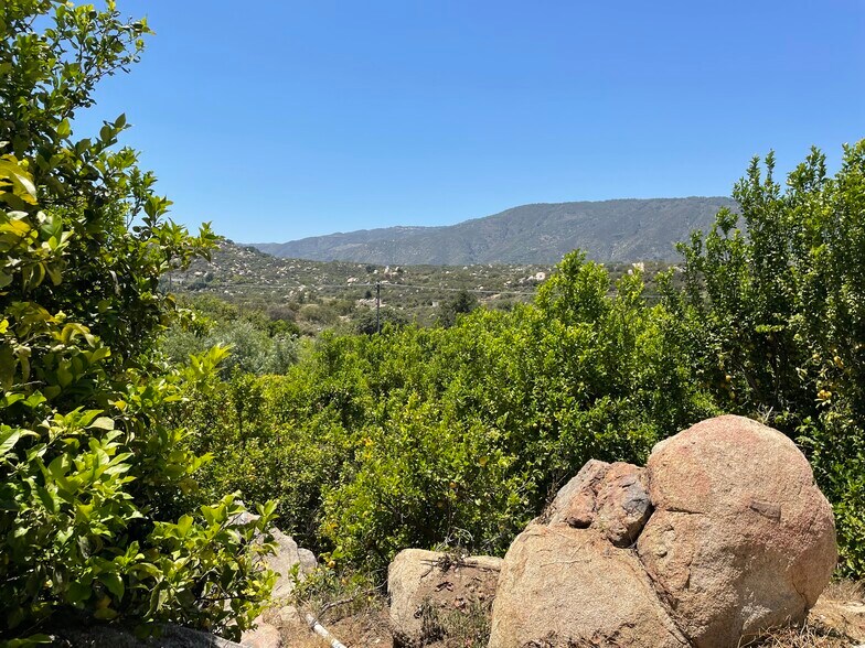 More Photos Of 44952 Vista del Mar, Temecula Winery Vineyard For Sale