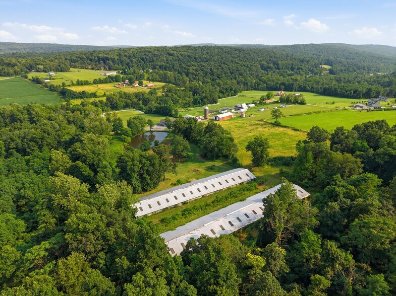 More Photos Of 13175 Washington Springs Winery Ln, Smithsburg Flex For Lease