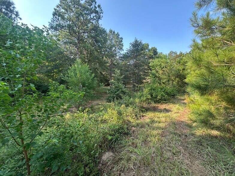 More Photos Of TBD North Star Estates Leesville LA 71446, Leesville Land For Sale
