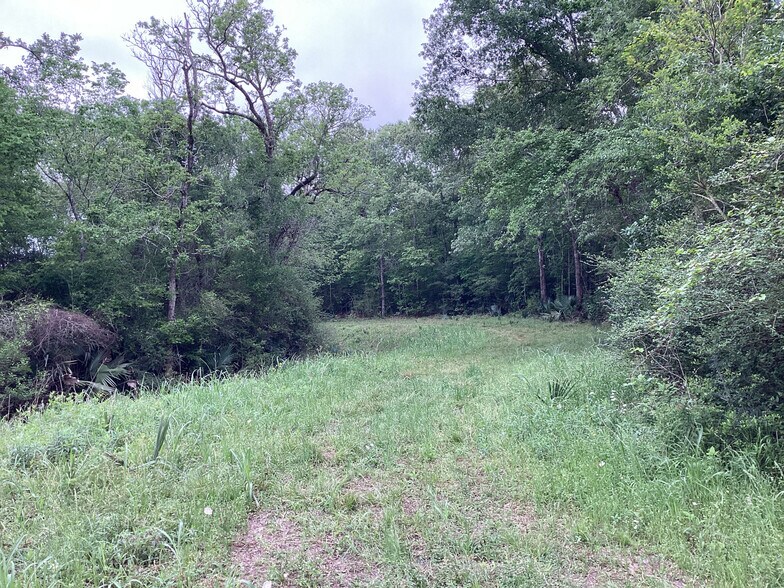 More Photos Of 0 County Road 4876, Dayton Land For Sale