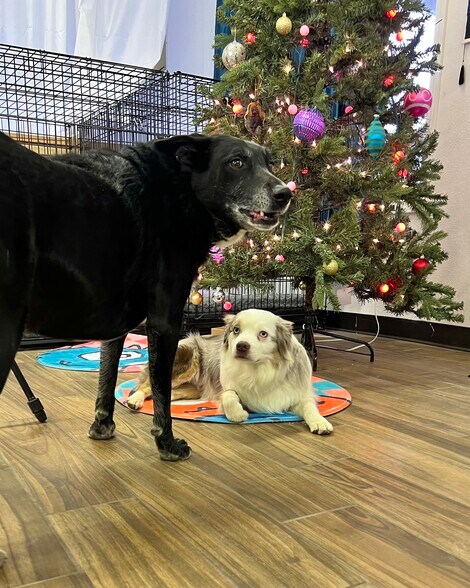 More Photos Of 223 NW Oneil way, Redmond Shelter For Sale