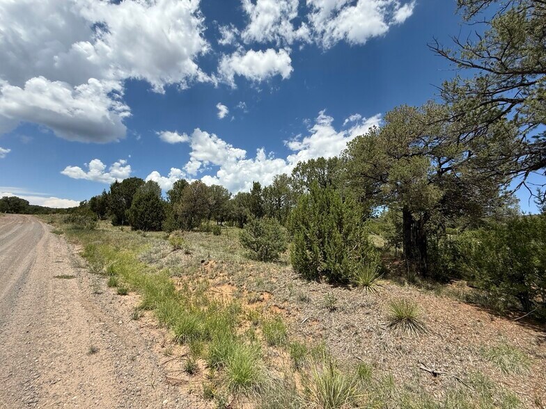 More Photos Of 44 Forest 321 Rd, Estancia Land For Sale