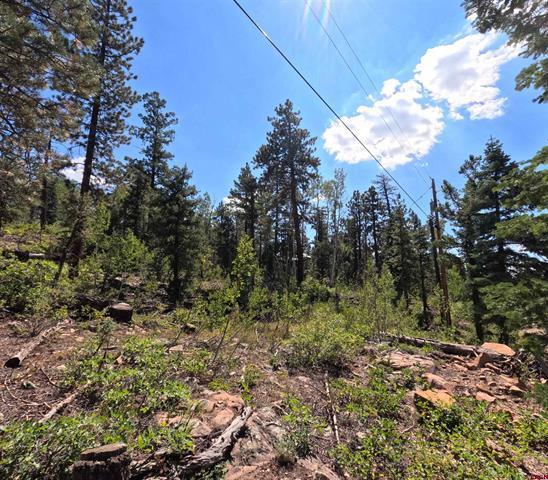 More Photos Of 48 Ponderosa Trl, Durango Land For Sale