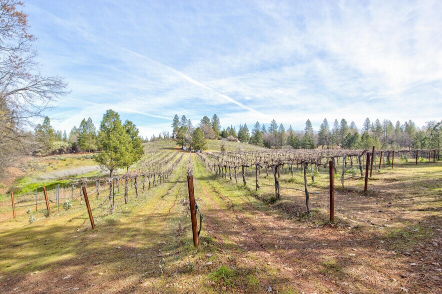 More Photos Of 4771 Greenhills Rd, Placerville Winery Vineyard For Sale