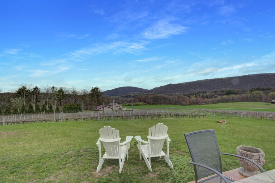 More Photos Of 596 Harman Rd, Halifax Winery Vineyard For Sale