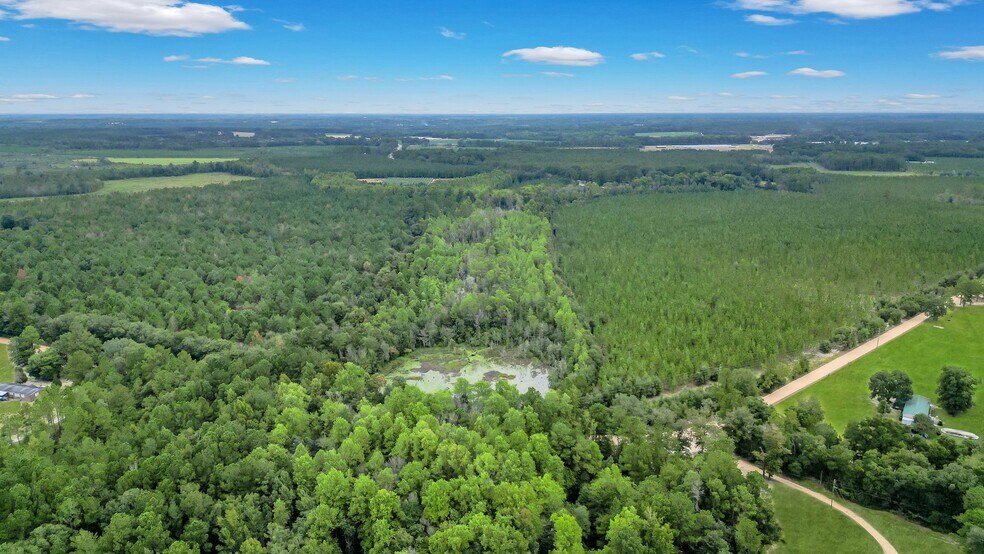 More Photos Of 2437 GA Highway 121, Glennville Land For Sale
