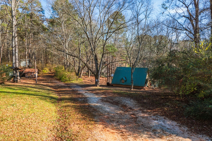 More Photos Of , Jasper Unknown For Sale