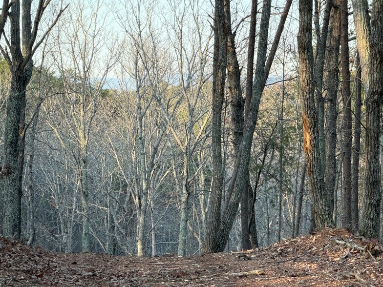More Photos Of 260 Arnold Rd NE, Fairmount Land For Sale