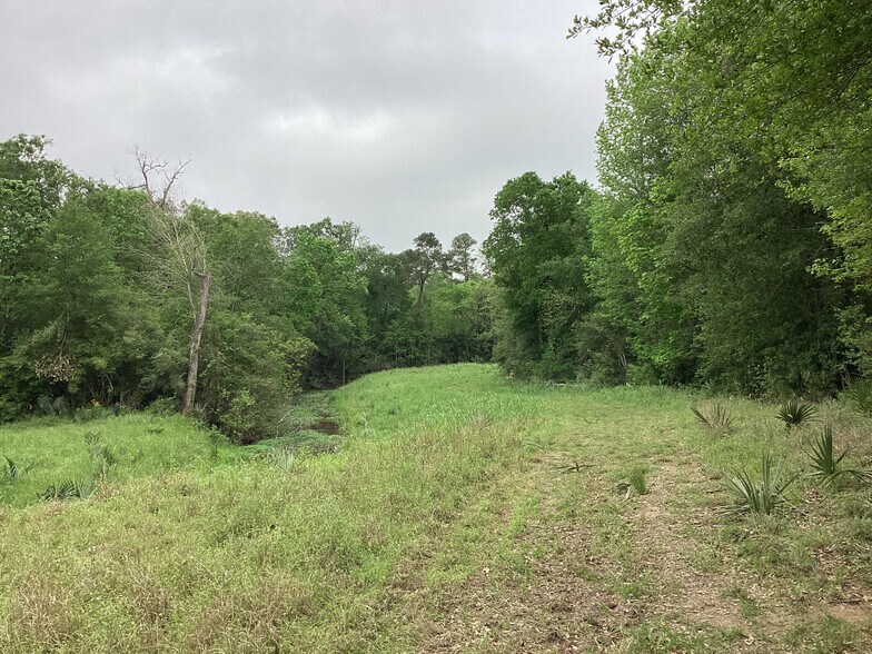 More Photos Of 0 County Road 4876, Dayton Land For Sale