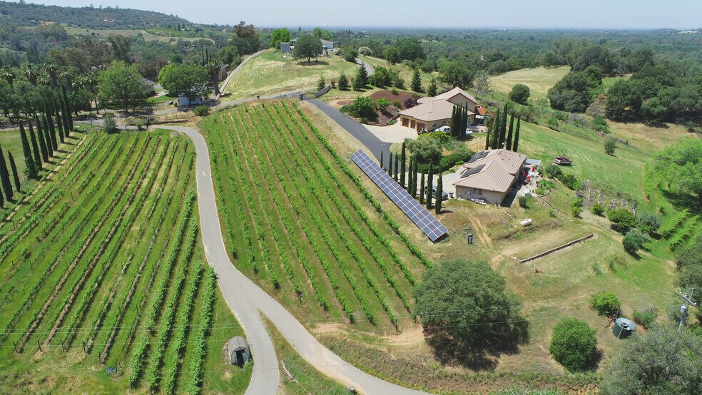 More Photos Of 7071 Ridge Road, Newcastle Winery Vineyard For Sale