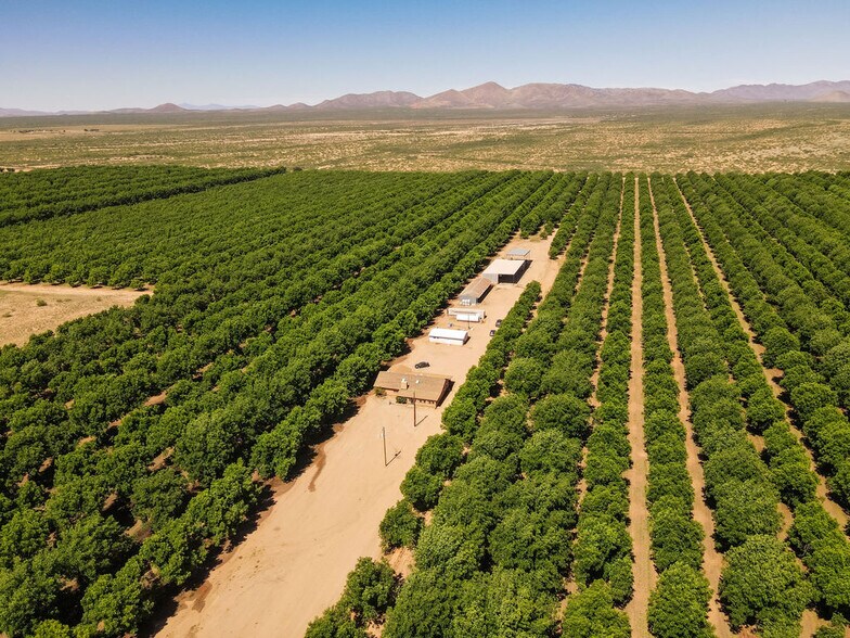 More Photos Of 4968 W Gleeson Rd, Elfrida Land For Sale