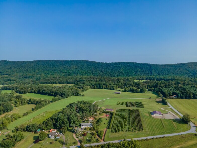 More Photos Of 596 Harman Rd, Halifax Winery Vineyard For Sale