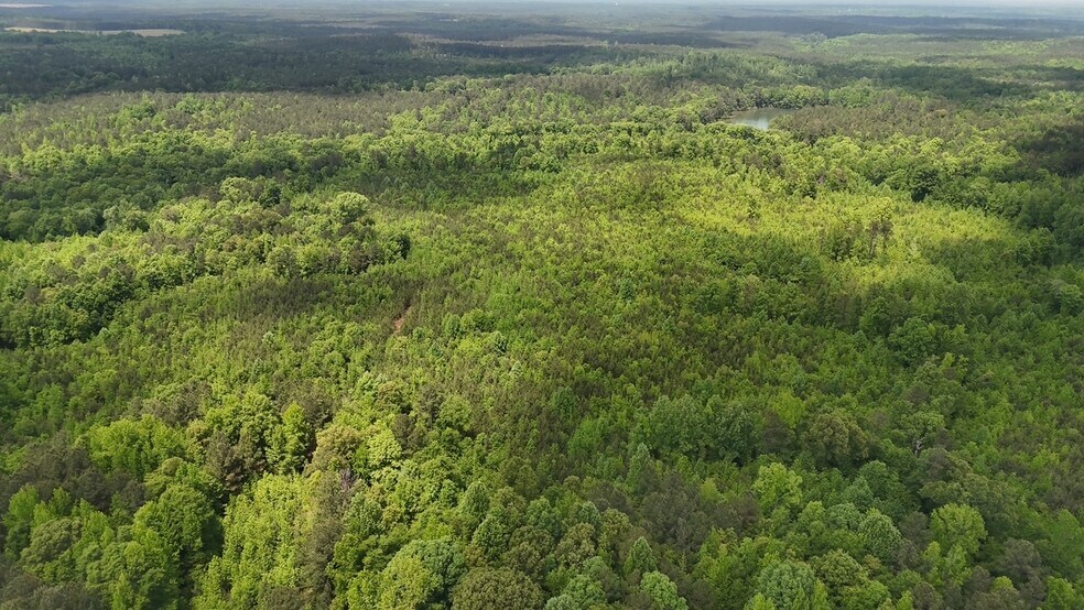 More Photos Of 268 Ogletree Rd, Greenville Land For Sale