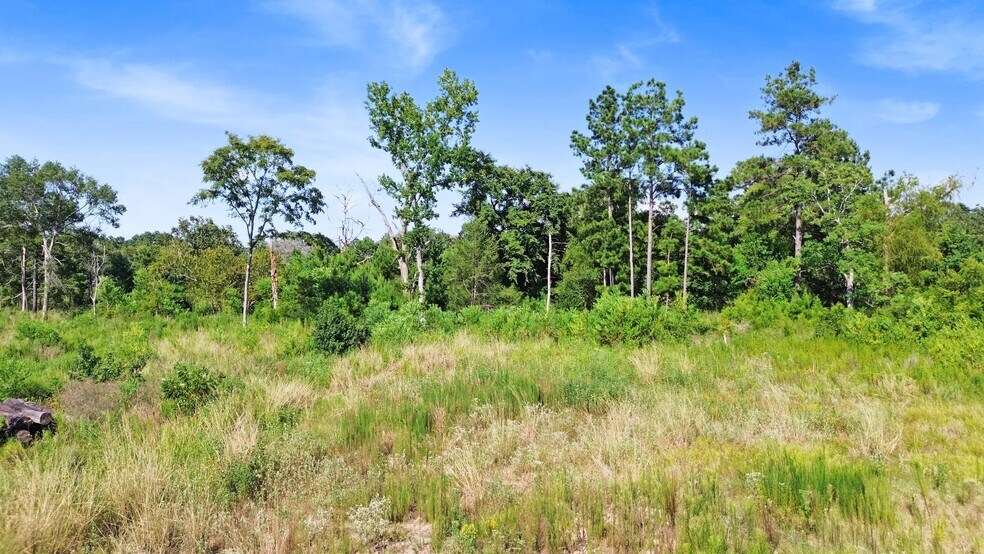 More Photos Of 1795 US Highway 190, Huntsville Land For Sale