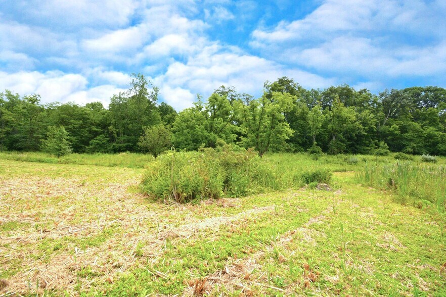 More Photos Of 250 Main st, Mount Gilead Land For Sale