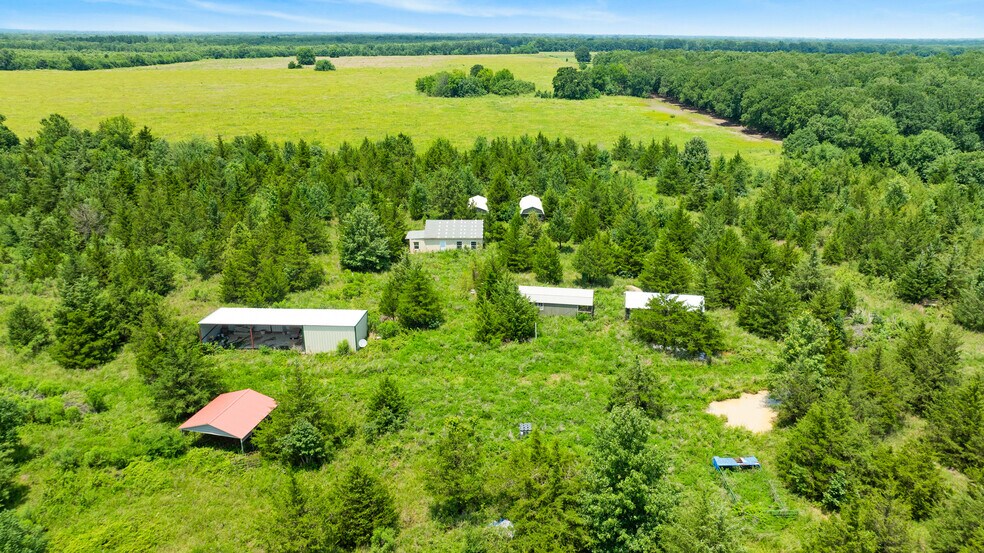 More Photos Of 449 County Road 1357, Clarksville Land For Sale