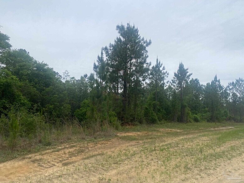 More Photos Of Walther Rd, Milton Land For Sale