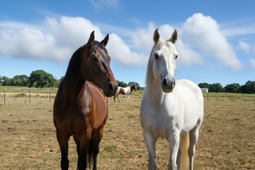 More Photos Of 351 My Ln, Millsap Trailer Camper Park For Sale