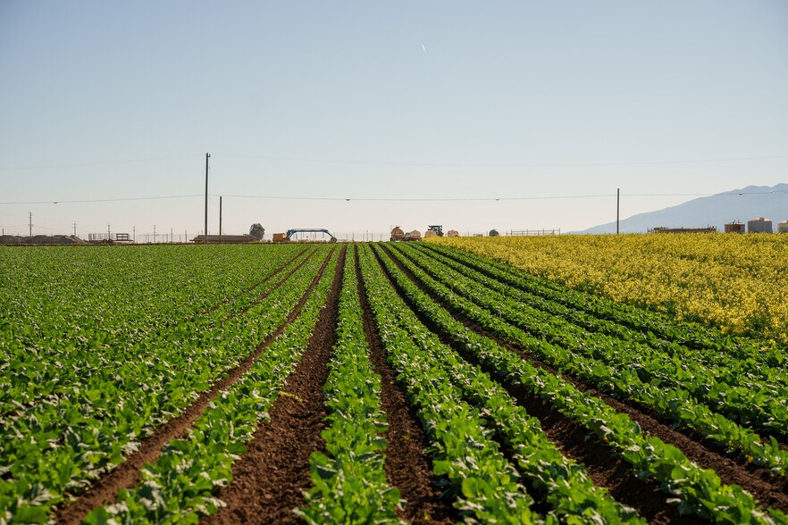 More Photos Of Somavia Rd, Salinas Land For Sale