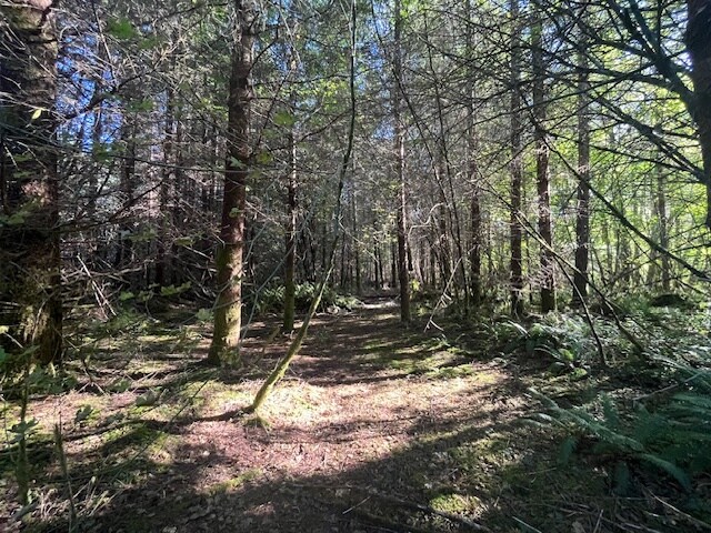 More Photos Of 3190 E Hoquiam Rd, Hoquiam Land For Sale