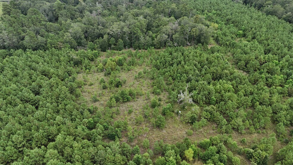 More Photos Of 1378 N Duck Creek Rd, Cleveland Land For Sale