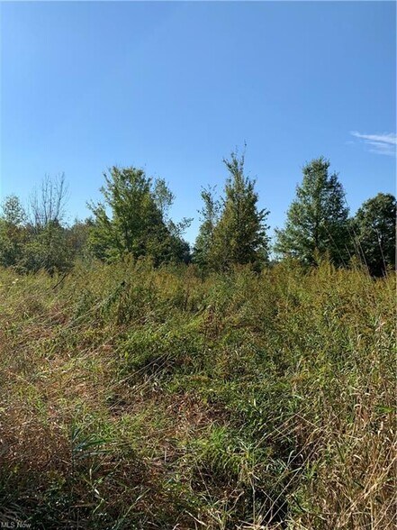 More Photos Of Bryant & SR 82 rd, Garrettsville Land For Sale