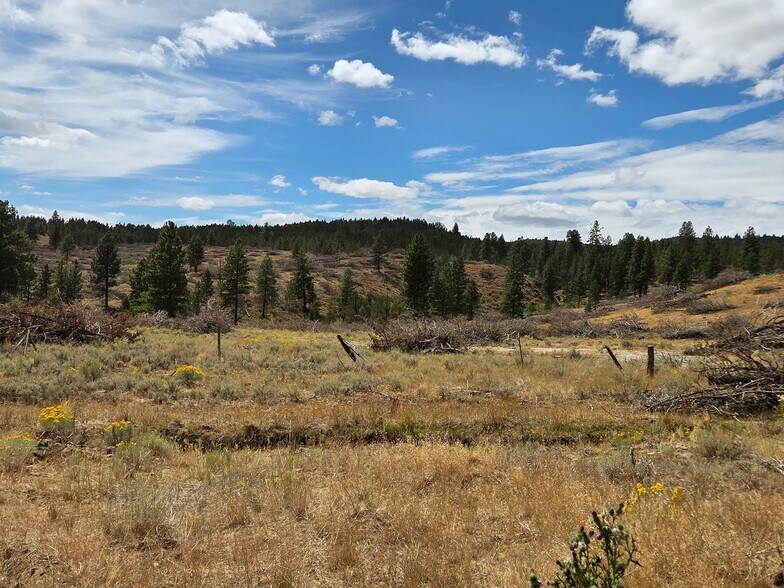 More Photos Of 32611 Tackman Rd, Prineville Land For Sale