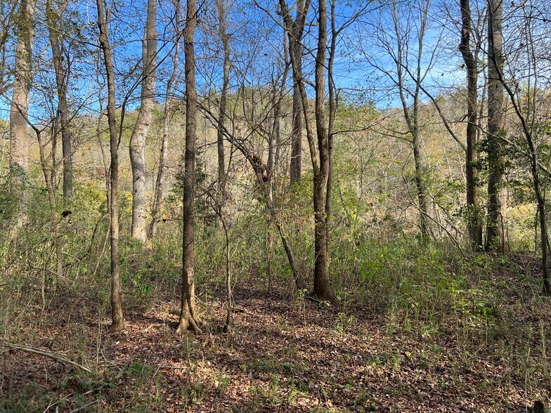 More Photos Of 0 Dickson Dr, Danielsville Land For Sale
