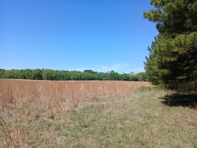 More Photos Of 414000 E 1920 Rd, Antlers Land For Sale