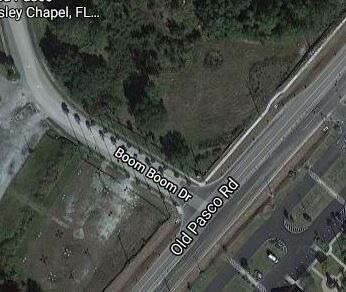 More Photos Of 6225 Old Pasco Rd, Wesley Chapel Land For Sale